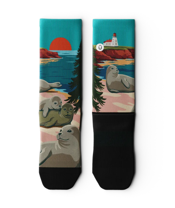 Prince Edward Athletic Crew Socks