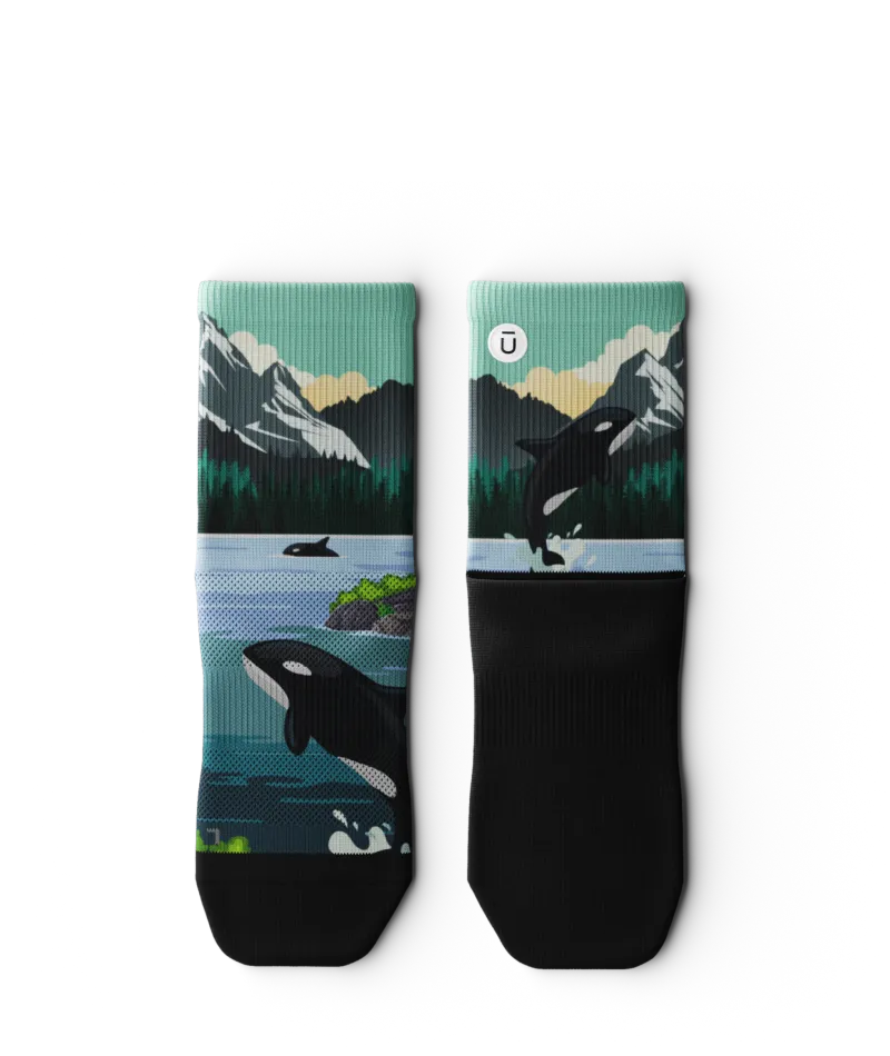 Wild Coast Athletic Quarter Socks 3-Pack
